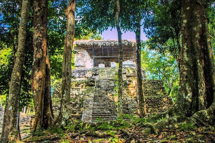 Tour Yaxhá privado VIP desde Flores
